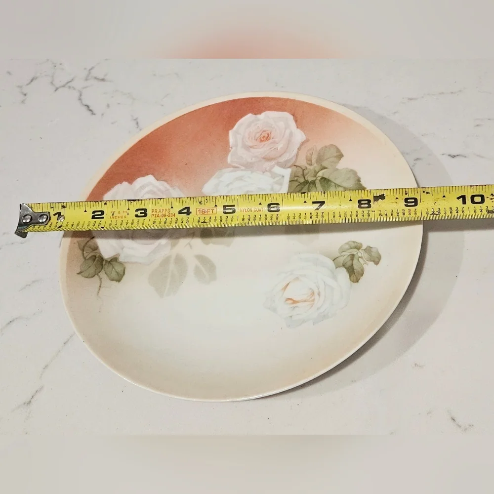 Vintage Reinhold Schlegelmilch (RS) Germany Hand Painted Plate Rose